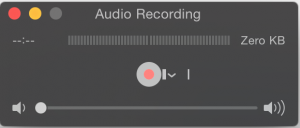 Audio Recording